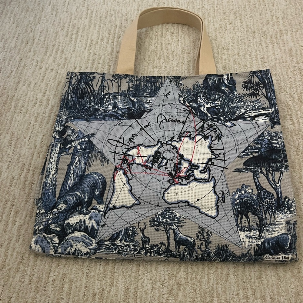 Dior Beach Tote Bag with Map and Animal Print